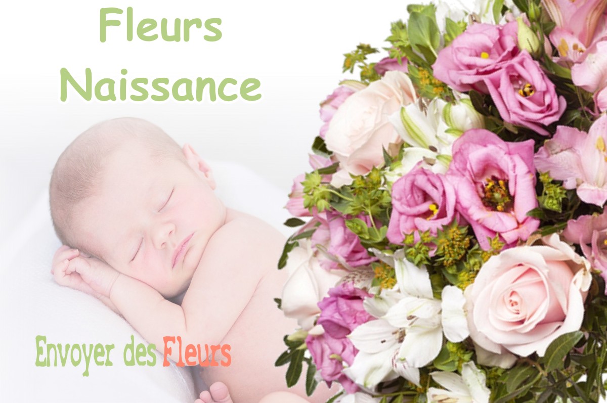 lIVRAISON FLEURS NAISSANCE à AIREL